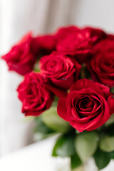 Background with roses for Valentine's Day. Valentine's Day. Red roses close up
