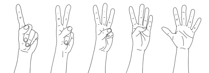 Set of hands. Counting from one to five with your hands. Finger-counting. Body language. Communication gestures concept.  Linear black and white hands. Number 1, 2, 3, 4, 5 with hand sign