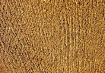 Sand texture