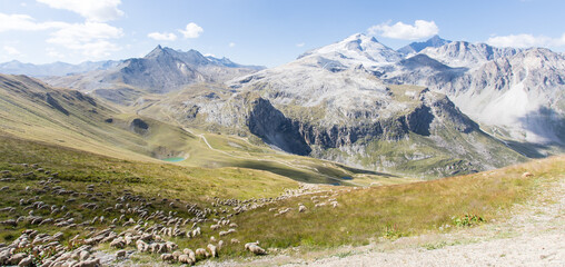 Elevage de moutons, appelé pastoralisme, fondé sur l’exploitation de la végétation naturelle et  sur le déplacement régulier des troupeaux, les transhumances dans le massif de la Vanoise en Savoie