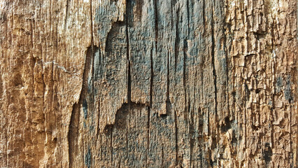 Background formed with old wooden surface brown texture.