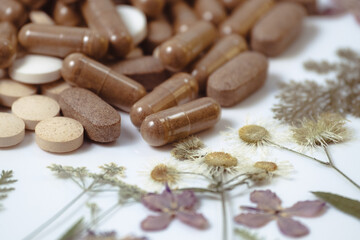Medicinal capsules with dried medicinal herbs on white background. Herbal medicine, homeopathy, alternative medicine, organic pharmacy concept. Naturopathy and dietary supplement. Herbal plants
