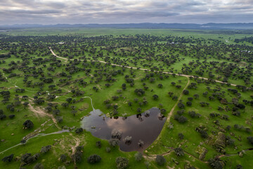 Landscape in Dehesa de la Luz. Extremadura. Spain.