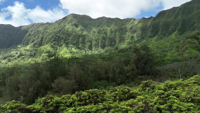 Oahu, Maui, Kauai, Big Island, Hawaii