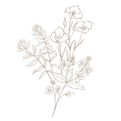 Hand Drawn Wildflower Bouquet. Line art Vector Illustration.