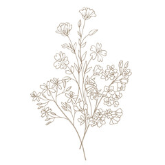 Hand Drawn Wildflower Bouquet. Line art Vector Illustration.