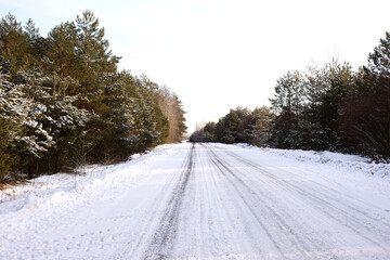 Winter road in the forest with traces of car tires and sleds