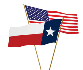 USA and Texas flags. vector
