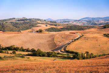 Tuscany hills and fields. Tuscany panorama, rolling hills and green fields at sunset - 559213535
