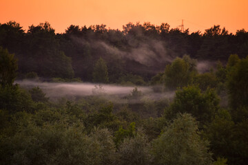 Beautiful Sunset In Forest With Frost Smoke