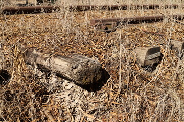 Fragments of the old railway from Haifa to Damascus.