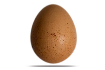 Egg isolated on white background