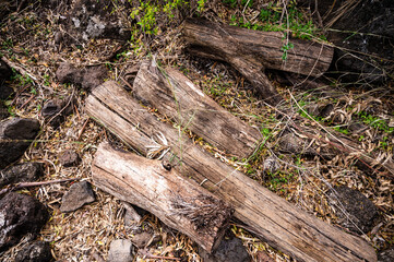 Obraz premium Closeup of large rocks or boulders near the mountains. Large multicolored granites. Details of big grey stone structures with orange particles shining in the sunlight.