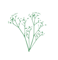 Green branches on white background