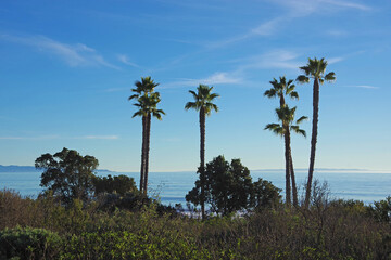 Fototapeta na wymiar Santa Barbara ocean channel view with palm trees and distant islands