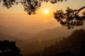 Naklejka premium Sunset in the mountains pines in the front of