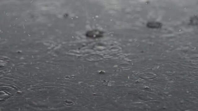 Slow motion closeup of summer heavy rain drops falling into puddles on asphalt