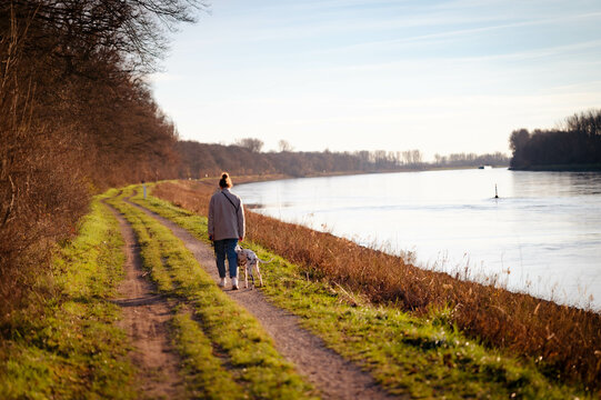 junge Frau geht mit Dalmatiner (Hund) an Fluss (Rhein) spazieren