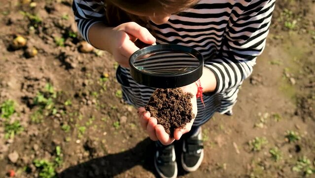 The child examines the soil with a magnifying glass. Selective focus.