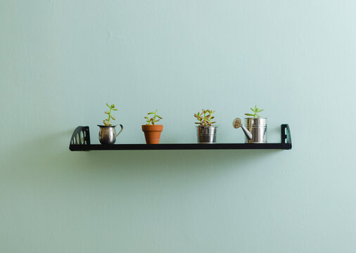 Repisa con plantas, minimalista
