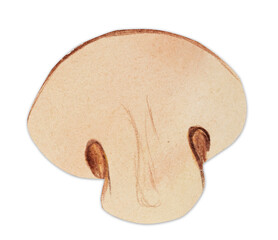 Hand-drawn watercolor brown sliced champignon mushroom. Bright cute kawaii kidcore style illustration, good for farmers market, supermarket products design, stickers or postcards