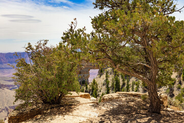 Rim trail Grand Canyon's north rim in Arizona 