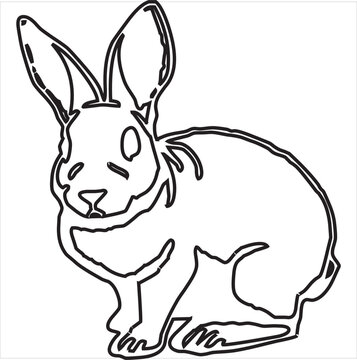 Vector, Image of rabbit, black and white, with transparent background