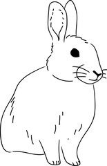 rabbit bunny easter 부활절 토끼