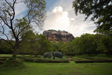 View to Sigiriya Sri Lanka. Path for tourists to climb the Lion Rock. Garden with trees around the sight seeing. Sky with clouds. Elephant.