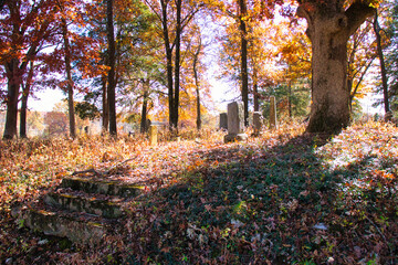 Old graveyard in the forest