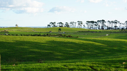 Puhinui Reserve in South Auckland, New Zealand