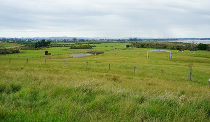 Fototapeta premium Puhinui Reserve in South Auckland, New Zealand