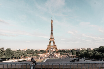 Eiffel Tower of the Paris
