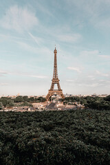 Eiffel Tower of the Paris