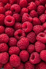 Fresh, ripe, juicy raspberries with water drops. Berry macro shot selective focus.