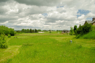 Obraz premium landscape with grass and blue sky