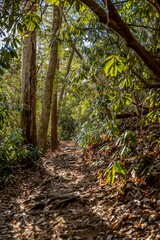 glen falls highlands north carolina