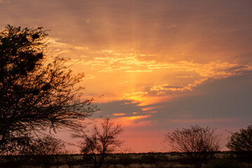 Obraz na płótnie Canvas Sunrise rays in Namibia