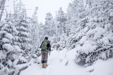 hiker in winter forest
-White Mountains, New Hampshire