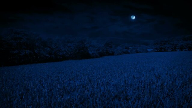 Farm Field At Night Aerial With Moon Above