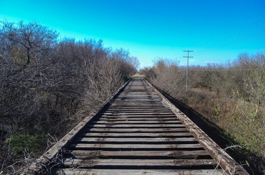 Abandoned Railroad Train Trestle Tracks Through the Woods Under a Clear Blue Sky