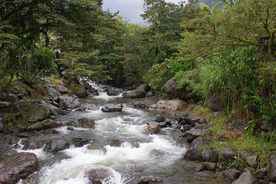 Natural river, town of Pance Valle del Cauca, Cali Colombia. Crystal clear water, river of life,cop 16
