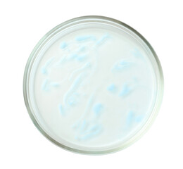 Petri dish with bacteria on white background, top view