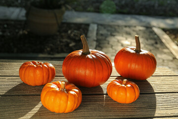 Many whole ripe pumpkins on wooden table outdoors