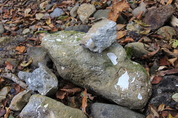 貝殻の化石が埋まっている岩