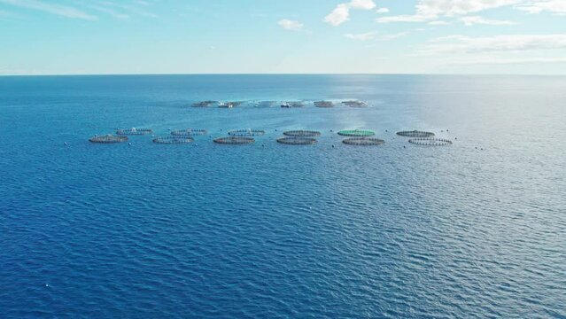 Aerial drone video of a large saltwater fish farm such as sea bass and sea bream in growing cages in calm deep waters