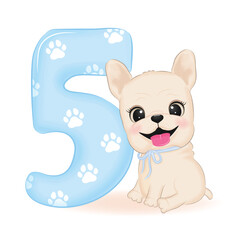 Cute French Bulldog and number 5