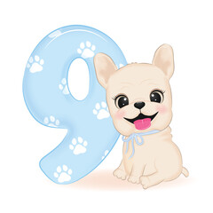 Cute French Bulldog and number 9