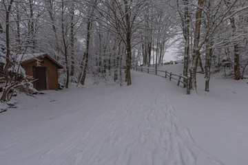 Winter Snowy Landscape. Wooden Fence And A Hut Covered In Snow In A Forest.
