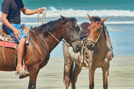 Cabalgata en playa 
